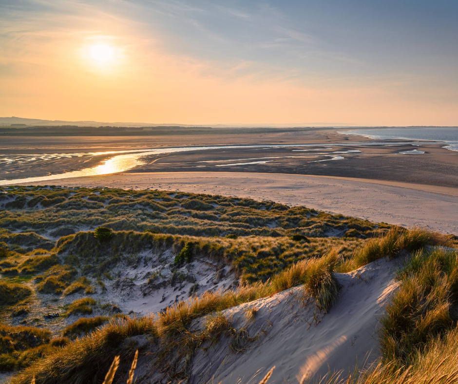 Shores of East Lothian in Winter 