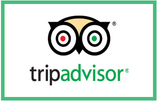 TripAdvisor logo