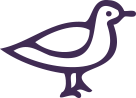 bird icon